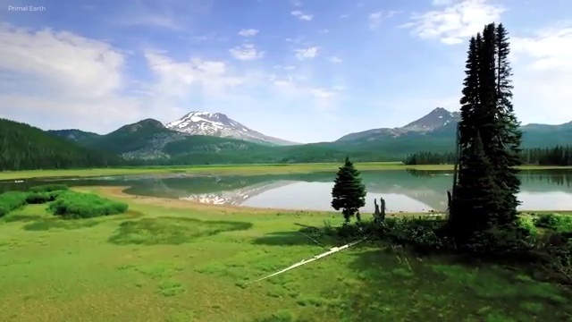  부동산포기각서 , 부동산자산관리전문가 부동산자산관리사 취득 정보 및 학습방법