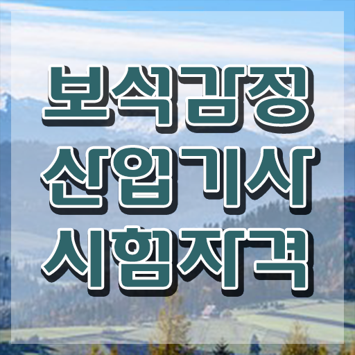  보석감정산업기사 응시조건 보석감정산업기사 시험응시조건 온라인 과정으로 편하게 끝낸 노하우