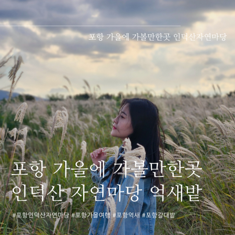 [포항] 포항 가을 가볼만한곳 인덕산 자연마당 다녀왔어요 (포항 억새 명소/포항 가을)