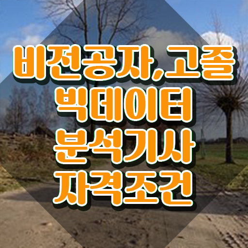  빅데이터 분석기사 2024 , 빅데이터분석기사 응시자격 학점은행제로 간편하게 성공한 과정