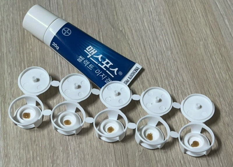 [맥스포스 쎌렉트 이지겔] 8,000원으로 저렴하게 바퀴벌레 퇴치•박멸하기