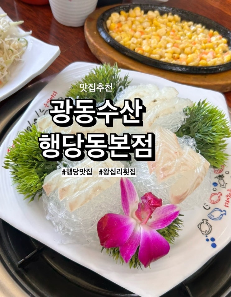  행당역 맛집 ‘광동수산’ 가성비 좋은 런치코스