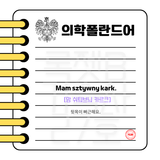  #의학폴란드어 #1문장 #증상