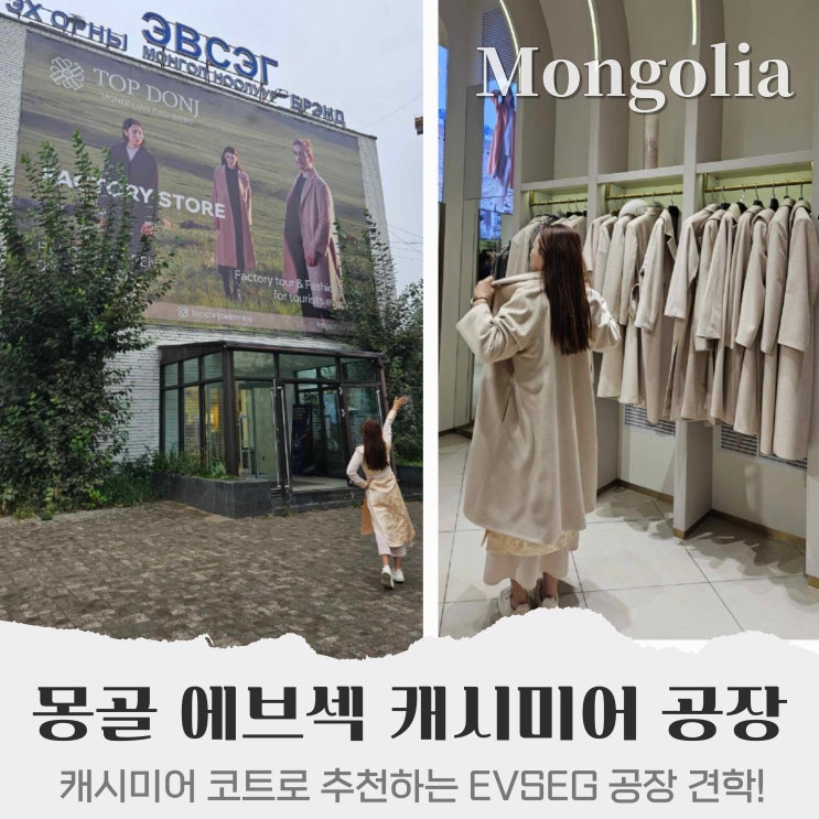  몽골 에브섹 캐시미어 공장 견학, EVSEG 코트 할인 쇼핑 구매 팁