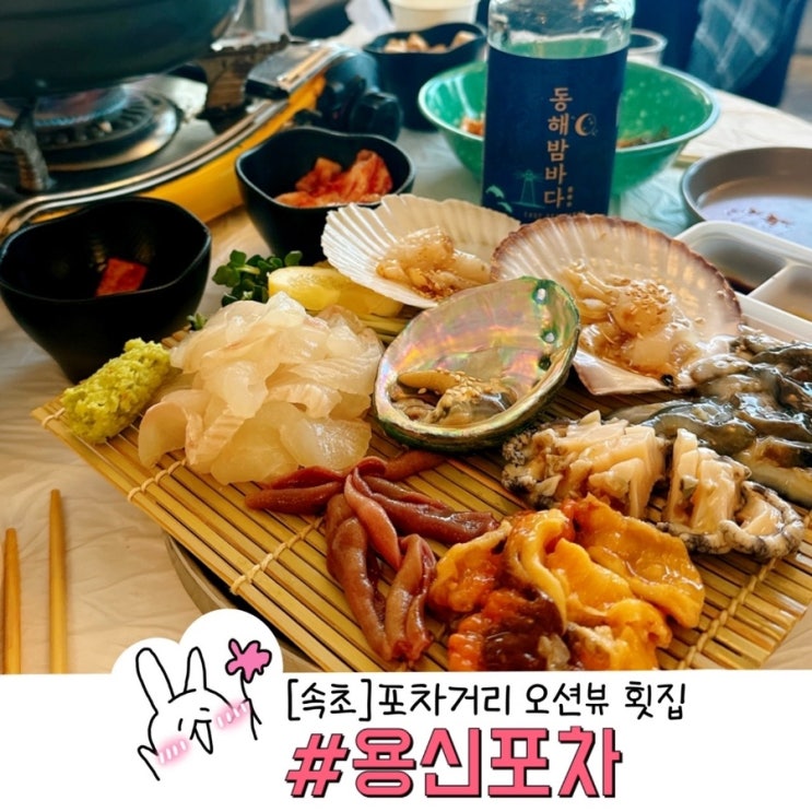  속초 포차거리 감성가득 오션뷰 횟집 분위기 좋은 용신포차 내돈내산 후기