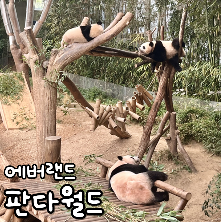  에버랜드 판다월드 가격 평일 입장권