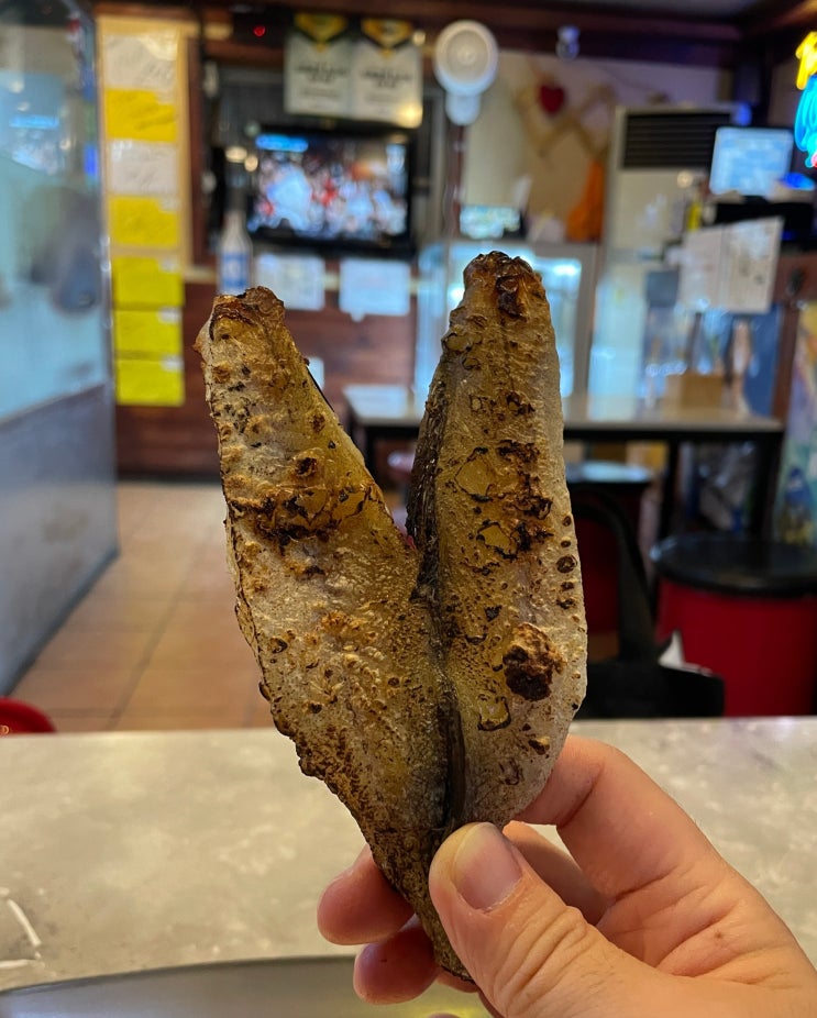  종로3가 생맥주 맛집 참골뱅이와노가리 술집