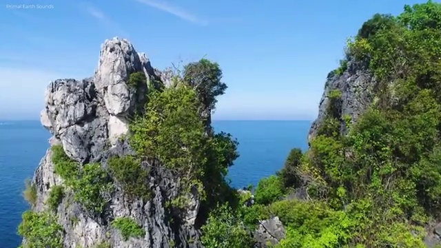  플로리스트 자격증 종류 , 플로리스트 자격증 취득한 방법 정리해봤어요