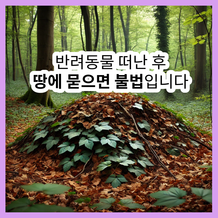  강아지 무덤· 고양이 무덤· 반려동물 무덤, 땅에 묻으면 불법입니다!