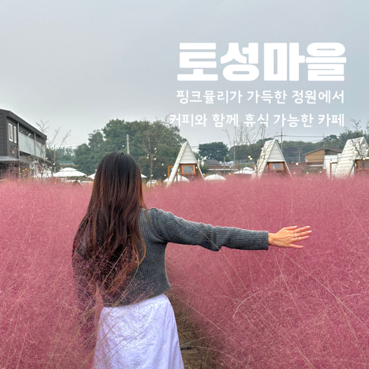  청주 토성마을 핑크뮬리 사진 명소 카페 대전근교 가볼만한 곳