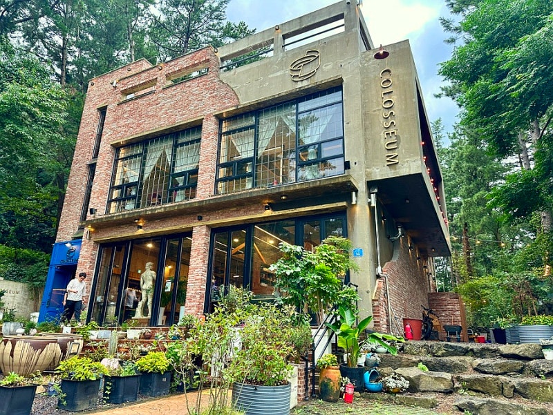 사진 6