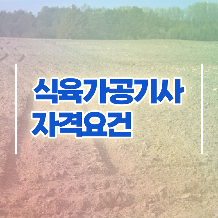  식육가공기사 후기 식육가공기사 시험자격 인강만 듣고 빠르게 성공한 과정