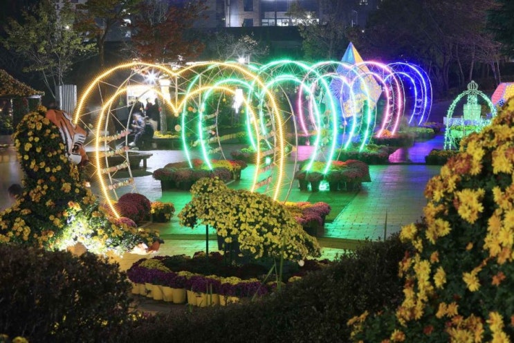  2024 익산천만송이국화축제 기본정보 I 익산중앙체육공원