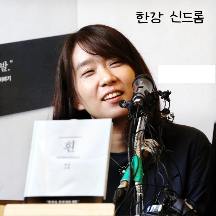  노벨문학상 한강 경제 효과, 한강 신드롬