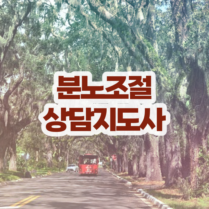  분노조절상담지도사 상세한 취득한 방법