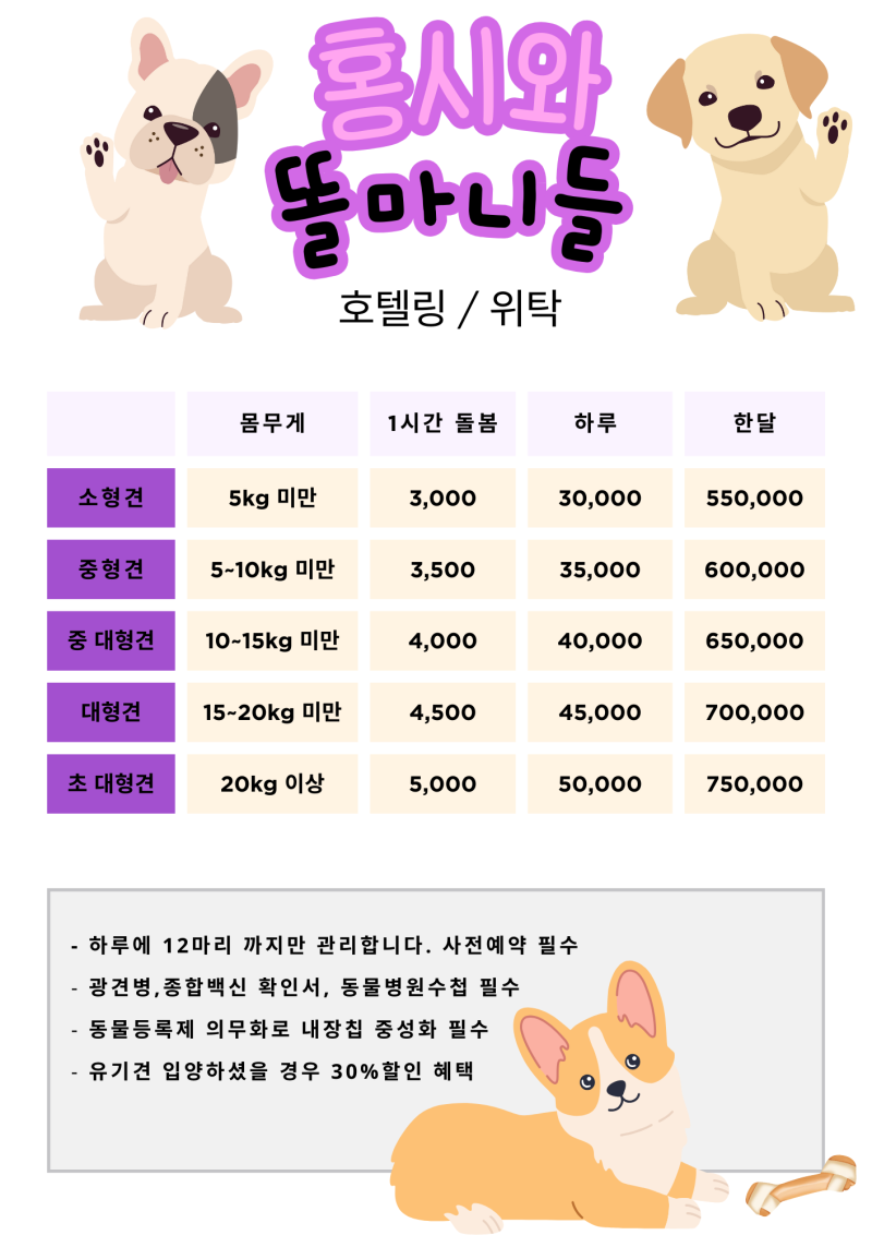 사진 3