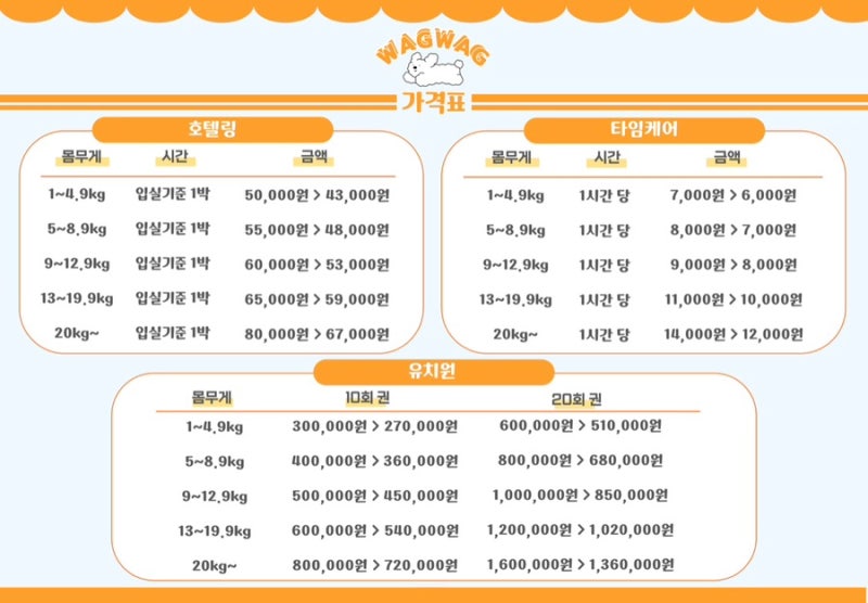 사진 10