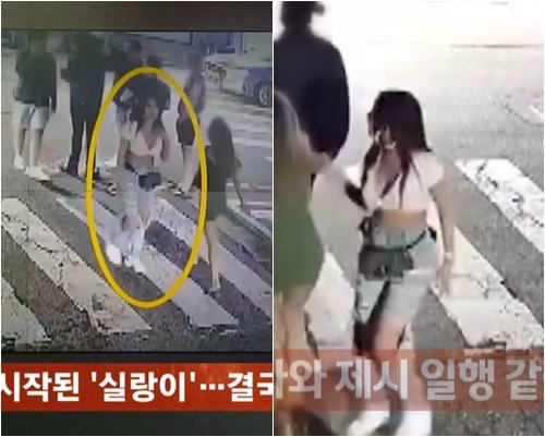 제시 논란 일파만파 일행 팬 폭행중 자리 떠난 스타라니 제시 논란 일파만파 일행 팬 폭행중 자리 떠난 스타라니