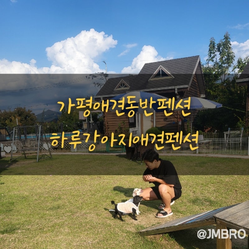사진 2