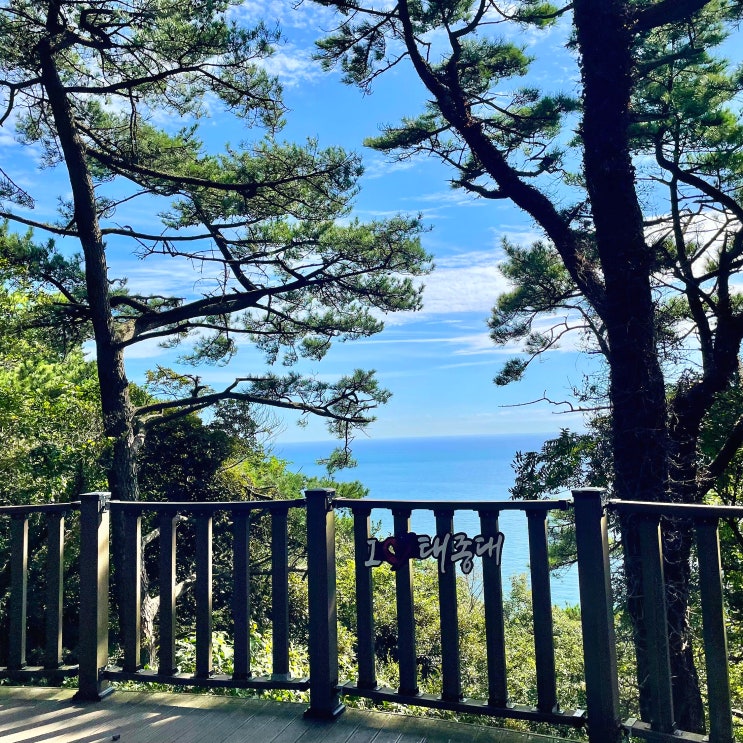  #241012 2박3일 부산여행 - 태종대 다누비열차