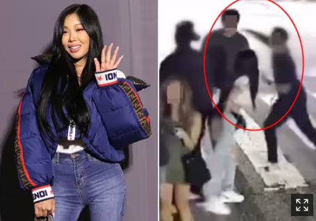 제시 폭행 사건 논란, 팬 폭행 사건의 진실은?