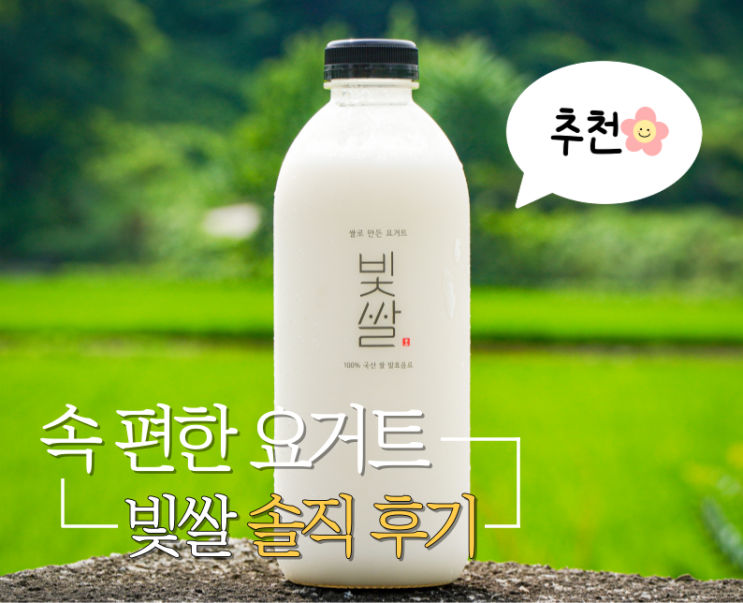  전통을 재해석한 비건 요거트 "빛쌀" 쌀요거트 솔직 후기