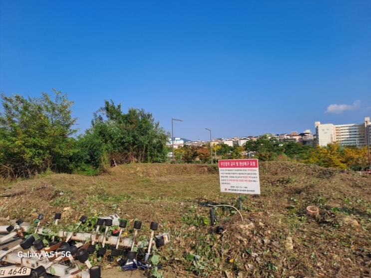  울산 중구 약사동 공공기관 우체국 유휴부지 250평 예초,제초,벌목대행("울산예초대행")