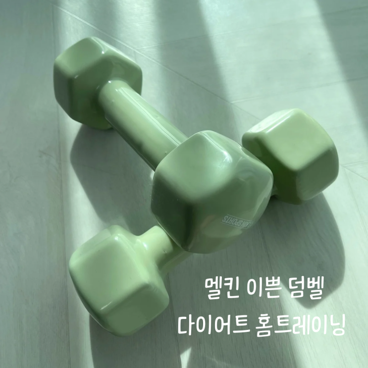  초보자 아령 추천 멜킨 덤벨로 다이어트