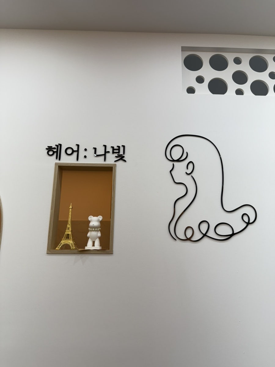 헤어나빛 사진 5