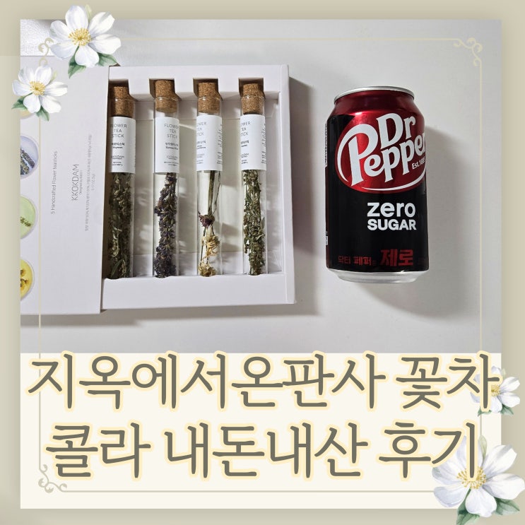 <b>지옥에서</b> 온 판사 꽃차 <b>박신혜</b> 콜라 강빛나 닥터페퍼 후기