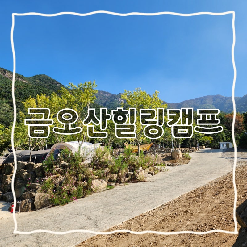 사진 7