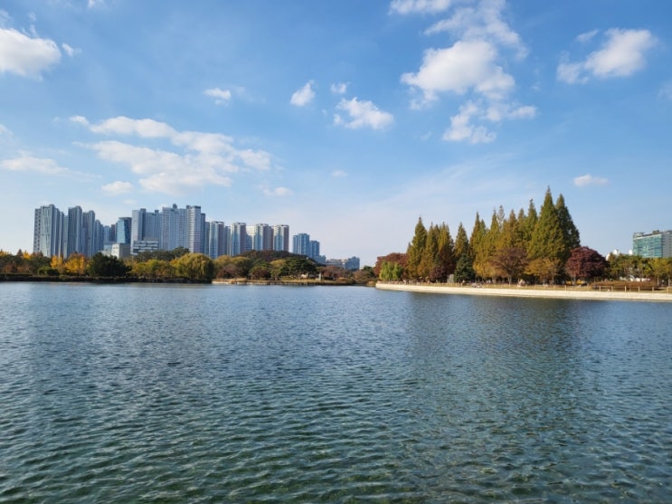  어쩌다 물 바라기가 되어버린 ~ 사람은 바뀐다! :)