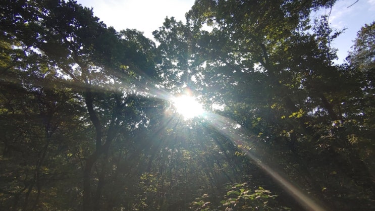 설봉산의 햇살 설봉산의 햇살
