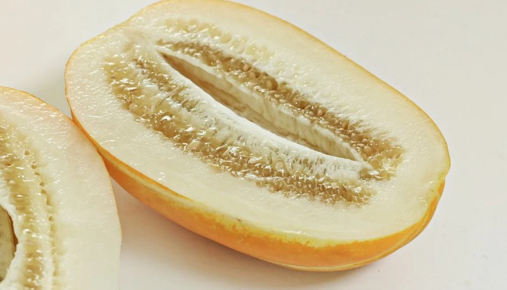  참외 놀라운 효능에 대해 살펴볼게요