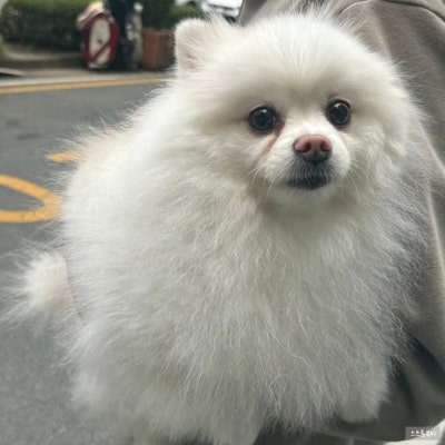사진 3