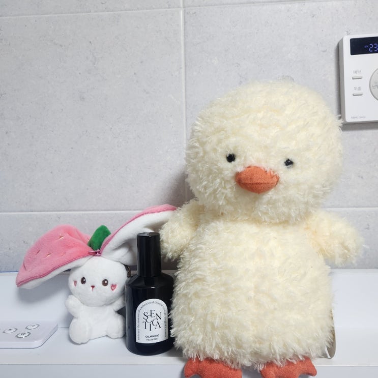  [생활정보/리뷰] 마음이 진정되는 산뜻한 우드향의 섬유 향수 <센티카 리추얼 필로우 미스트>