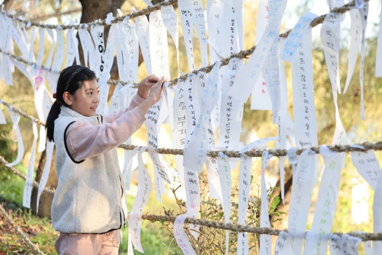  2024 여주오곡나루축제 기본정보 I 여주 신륵사 관광지