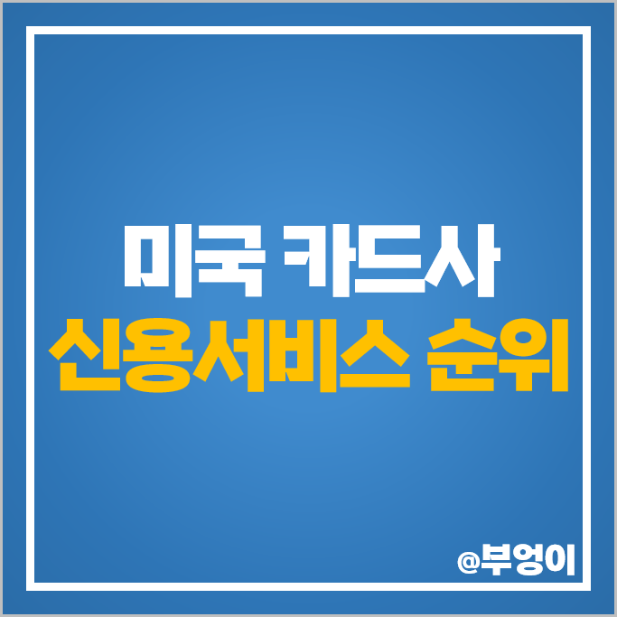 미국 카드사 순위 신용서비스 주식 마스터카드 아메리칸 익스프레스 주가 미국 카드사 순위 신용서비스 주식 마스터카드 아메리칸 익스프레스 주가