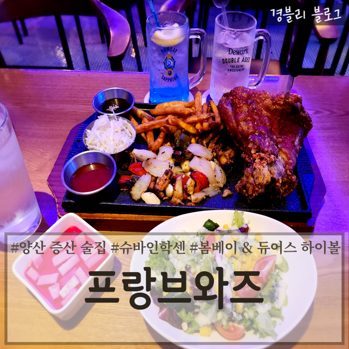  양산증산술집 슈바인학센 수제맥주 하이볼맛집 양산펍 '프랑브와즈'