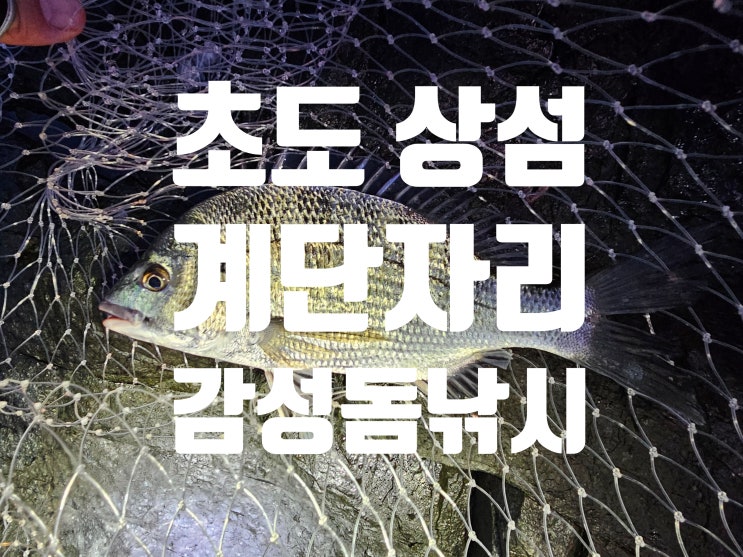  찌낚시 초도군도 상섬 계단자리 감성돔 낚시 2024. 10. 11.