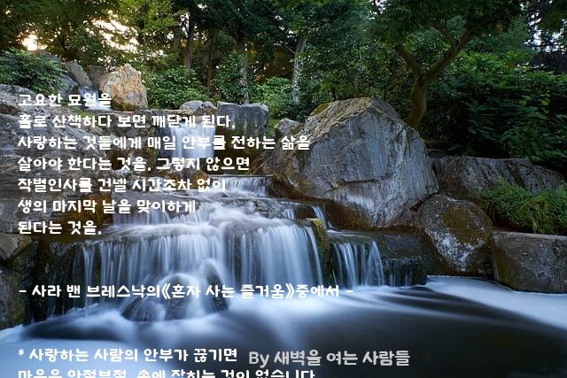 고요 고요