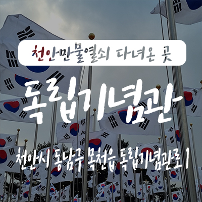  천안 야경 스팟! 독립기념관 단풍나무숲길 야간개장 입장료 주차장 완벽 가이드