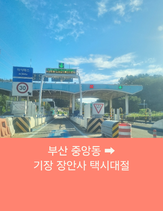  부산에서 장안사까지 부산택시대절 예약운행