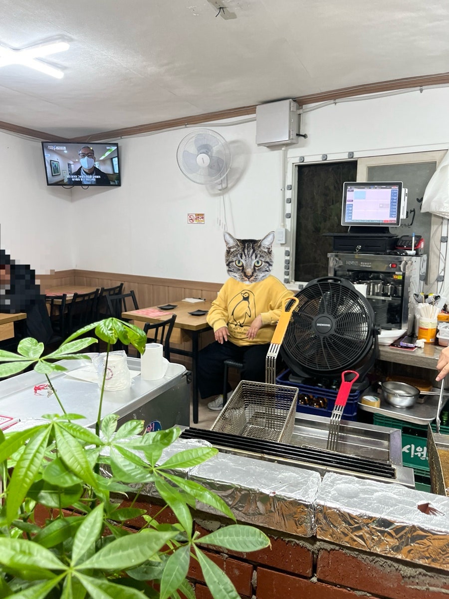 영이네 사진 6