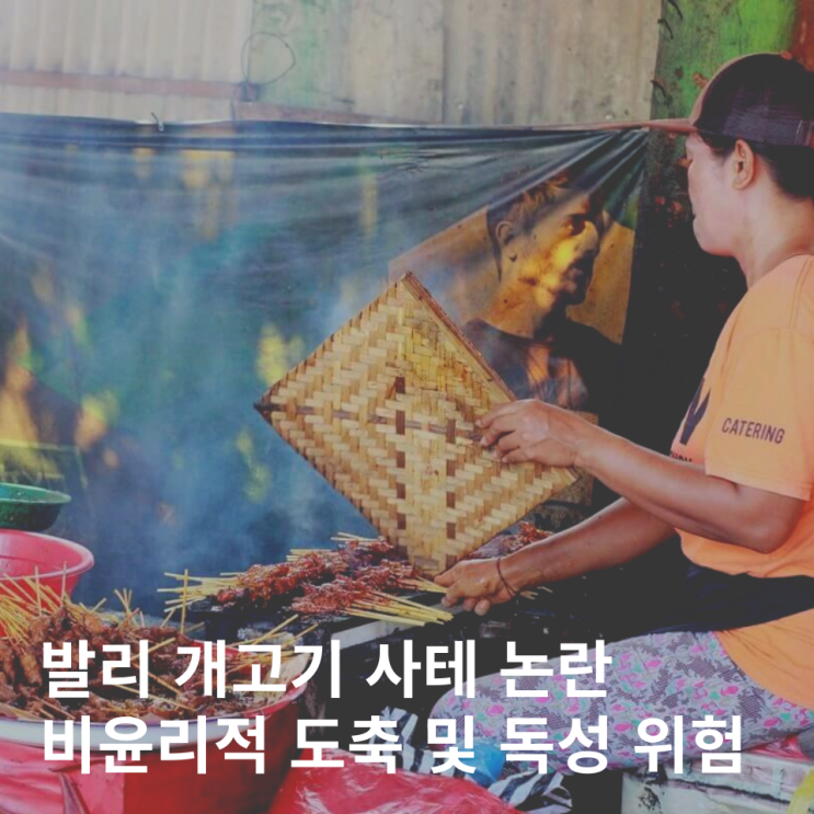  발리 길거리 음식 닭꼬치 개고기 사테 논란 여행 주의사항
