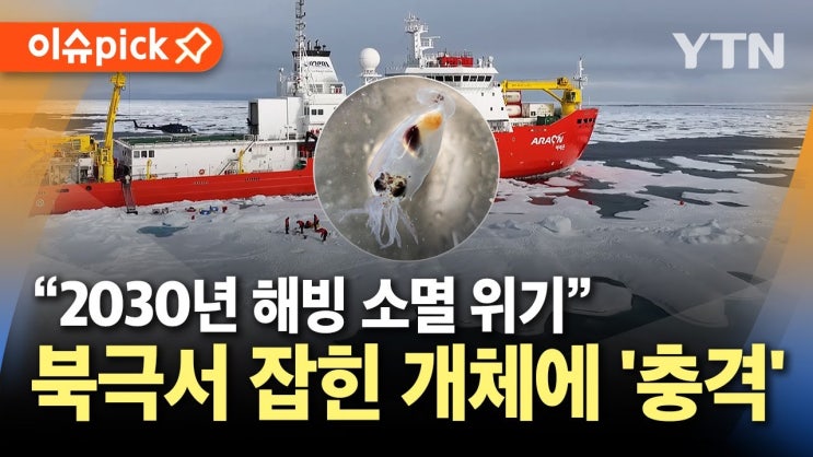 북극에서 잡힌 개체에 '충격'.."기후위기 현실" 북극에서 잡힌 개체에 '충격'.."기후위기 현실"