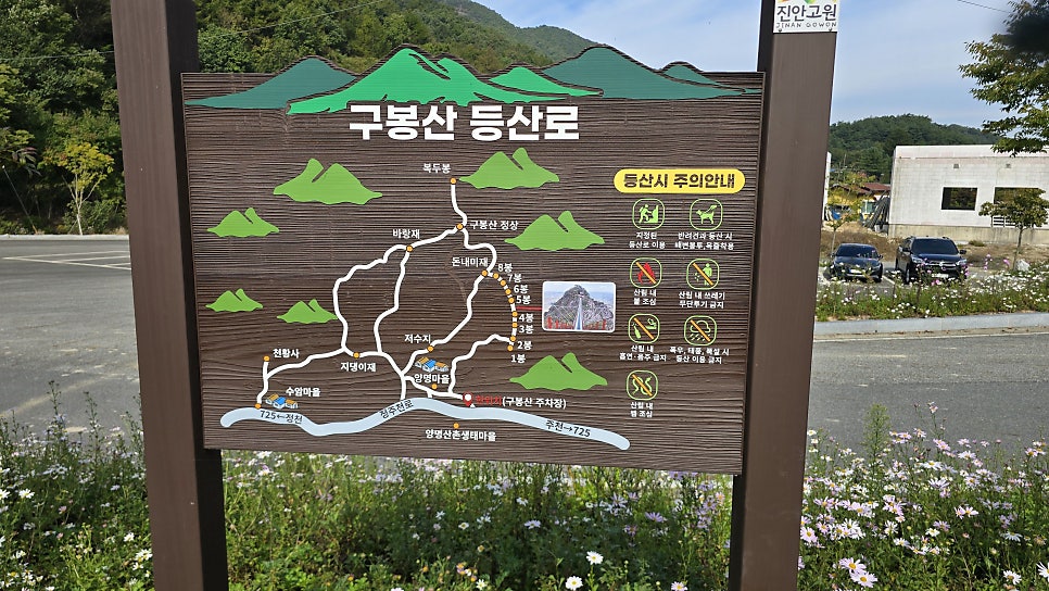 멸치골 사진 4