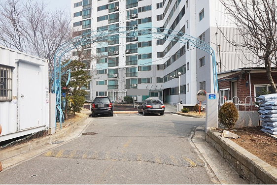 자규네 사진 4