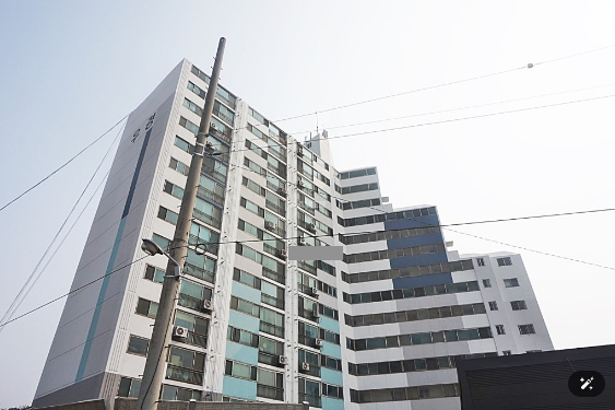 자규네 사진 5