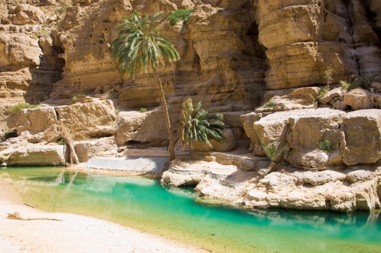  가고싶 | 아랍의 아름다운 계곡 | Wadi Ash Shab | Oman